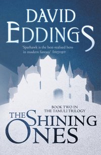 Shining Ones (e-bok)