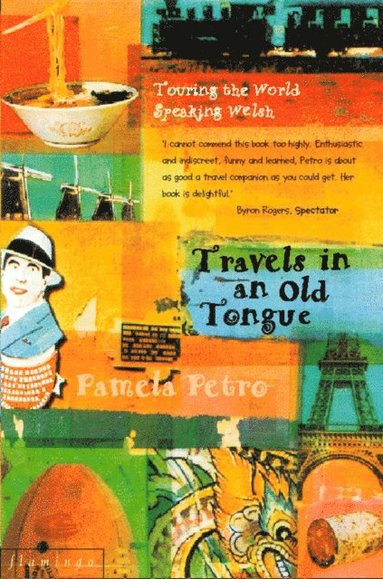 TRAVELS IN OLD TONGUE EB (e-bok)