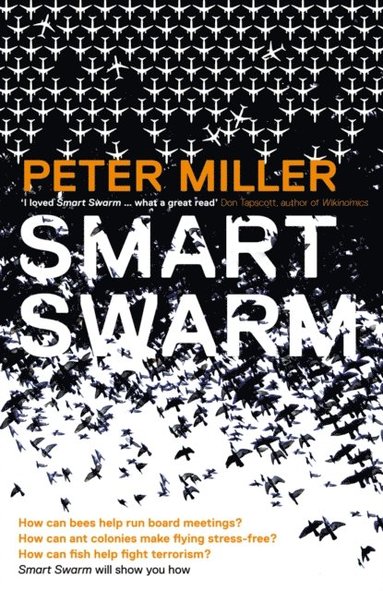 Smart Swarm (e-bok)