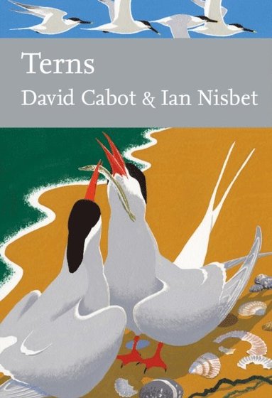 Terns (häftad)