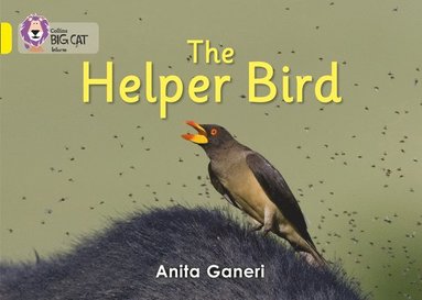 Helper Bird (häftad)