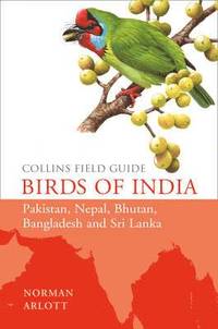 Birds of India (inbunden)