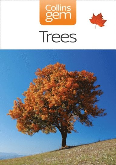 Trees (e-bok)