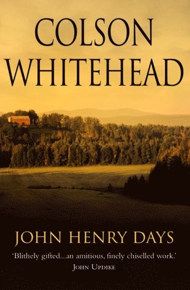 John Henry Days (e-bok)