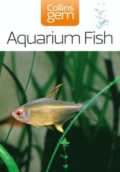 Aquarium Fish (e-bok)