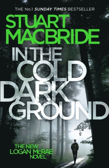 In the Cold Dark Ground (e-bok)