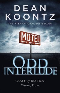 Odd Interlude (e-bok)