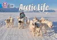 Arctic Life (hftad)