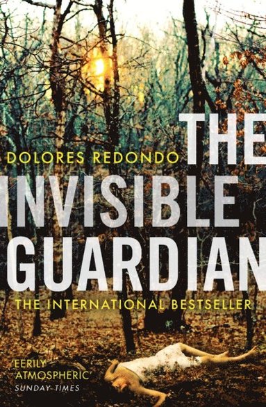 Invisible Guardian (e-bok)