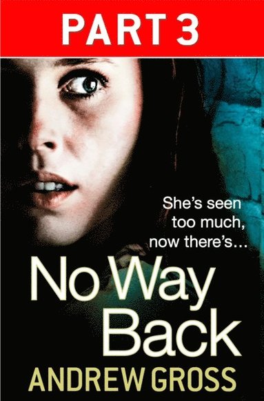 No Way Back: Part 3 of 3 (häftad)