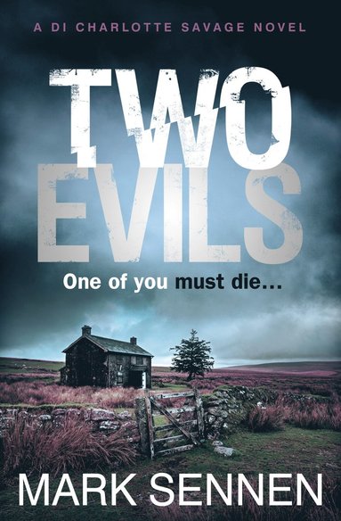 Two Evils (h�ftad)