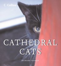 Cathedral Cats (e-bok)