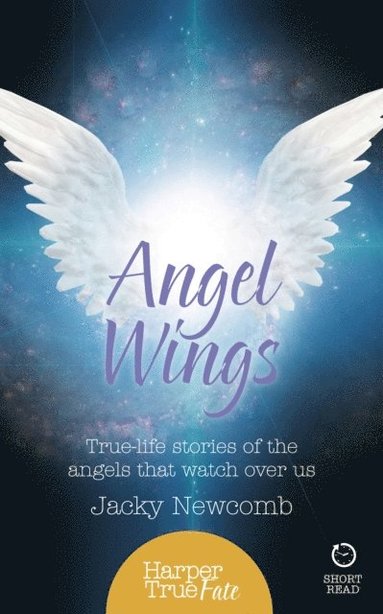 Angel Wings (häftad)