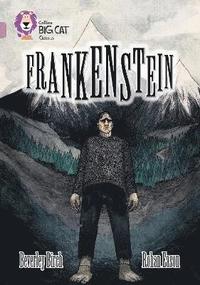 Frankenstein (hftad)