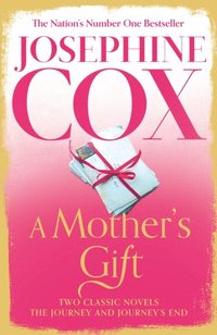 Mother's Gift (e-bok)