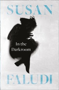 In the Darkroom (e-bok)