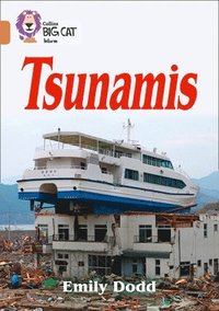 Tsunamis (häftad)