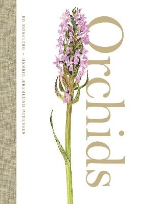 Orchids (inbunden)