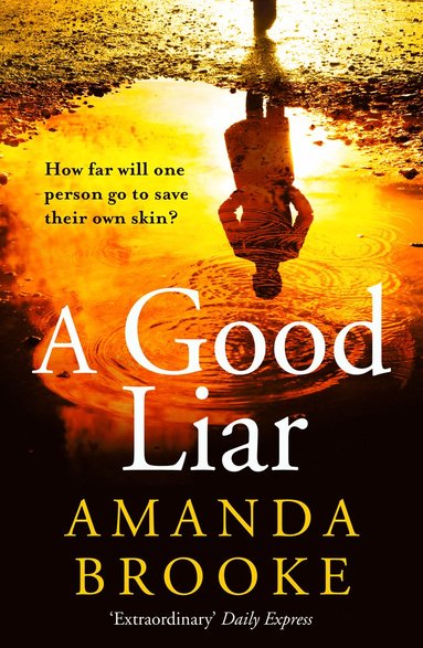 Good Liar (hftad)