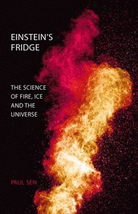 Einstein's Fridge (e-bok)