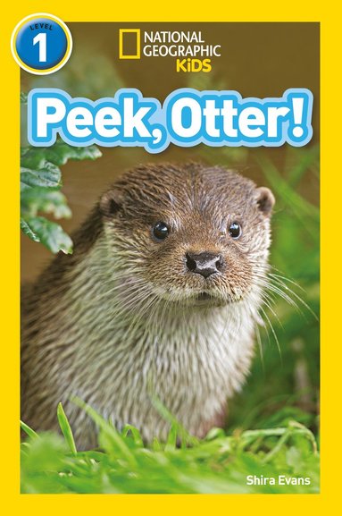 Peek, Otter! (hftad)