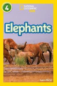 Elephants (hftad)