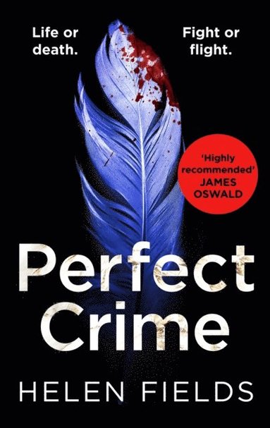 Perfect Crime (häftad)
