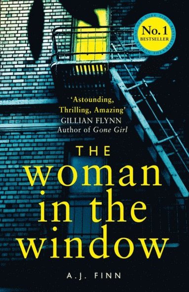 Woman in the Window (e-bok)