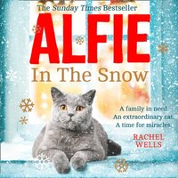ALFIE IN SNOW_ALFIE SERIES5 EA (ljudbok)