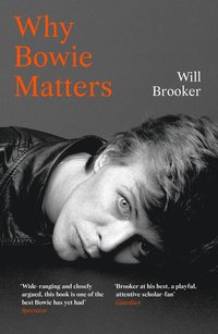 Why Bowie Matters (hftad)