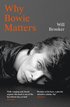 Why Bowie Matters