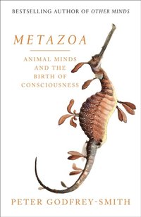 Metazoa: Animal Minds and the Birth of Consciousness (e-bok)