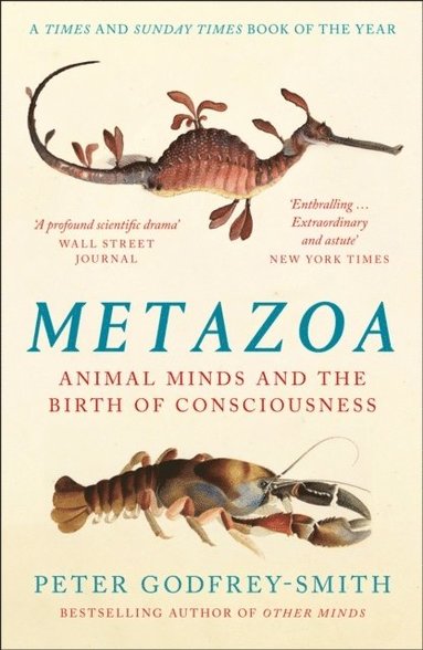 Metazoa (hftad)