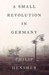 A Small Revolution in Germany (inbunden)
