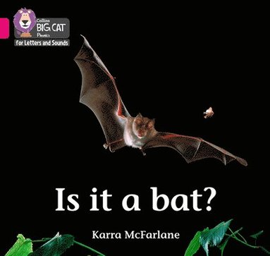 Is it a Bat? (häftad)