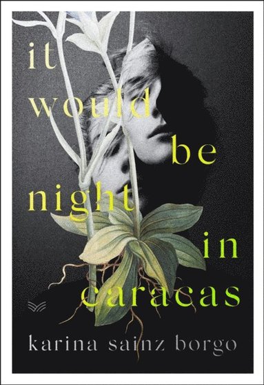 It Would Be Night in Caracas (e-bok)