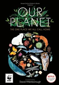 Our Planet (e-bok)