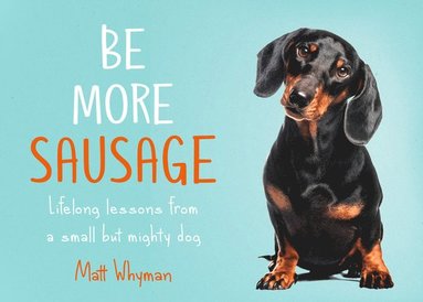Be More Sausage (inbunden)