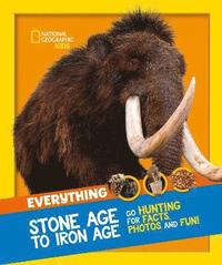 Everything: Stone Age to Iron Age (häftad)