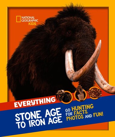 Everything: Stone Age to Iron Age (h�ftad)