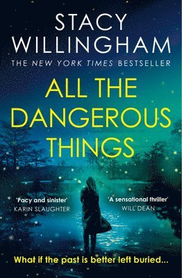 All the Dangerous Things (h�ftad)