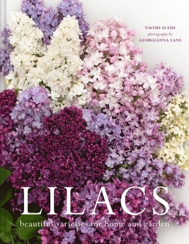 Lilacs (inbunden)