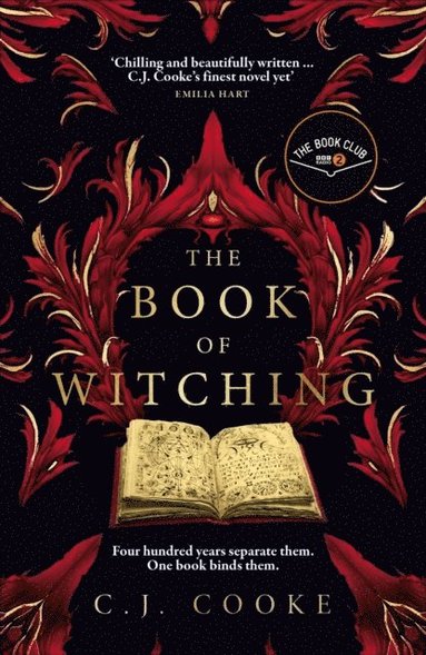Book of Witching (hftad)