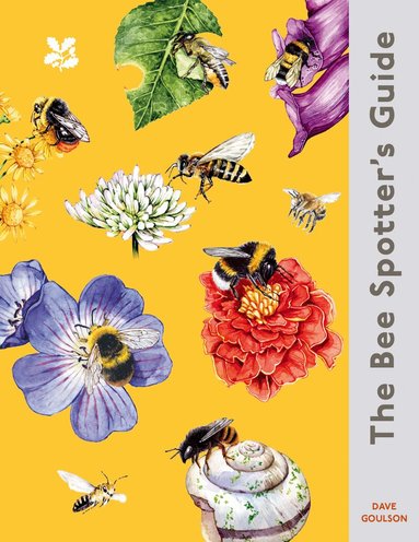 Bee Spotter's Guide (inbunden)