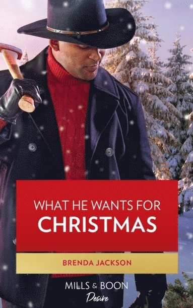 What He Wants For Christmas (e-bok)