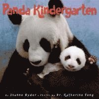 Panda Kindergarten (häftad)