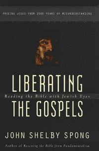 Liberating the Gospels (häftad)