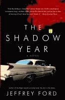 Shadow Year (hftad)