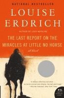 Last Report On The Miracles At Little No Horse (hftad)