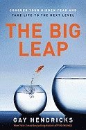 The Big Leap (häftad)